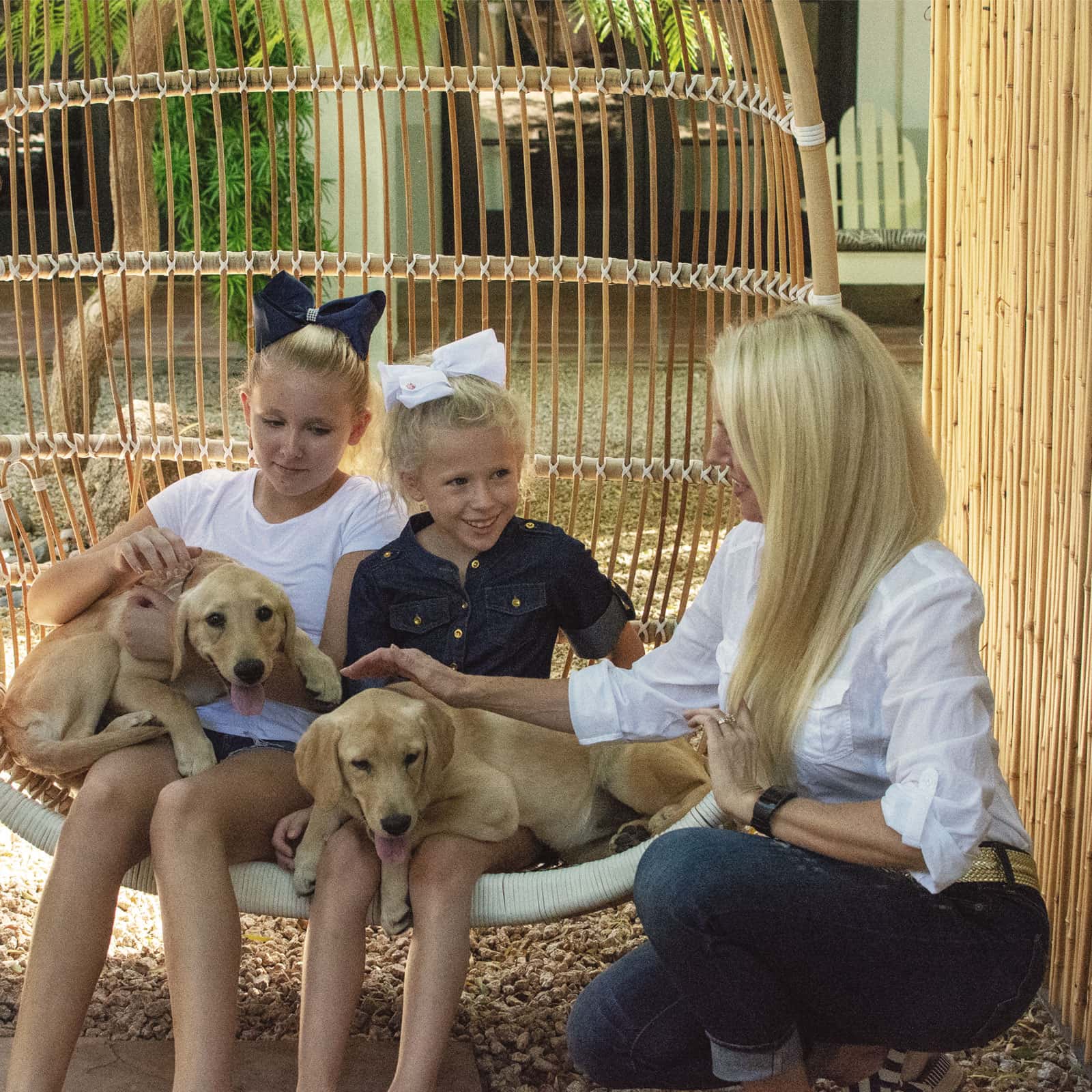 Pet Friendly Hotel Scottsdale, AZ | The Scott Resort & Spa